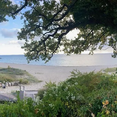 Eichenhain Seepferdchen * Pelzerhaken