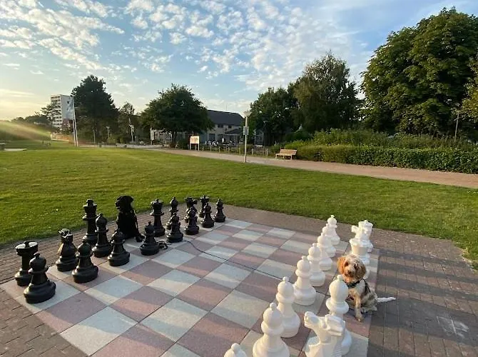 Eichenhain Seepferdchen Pelzerhaken