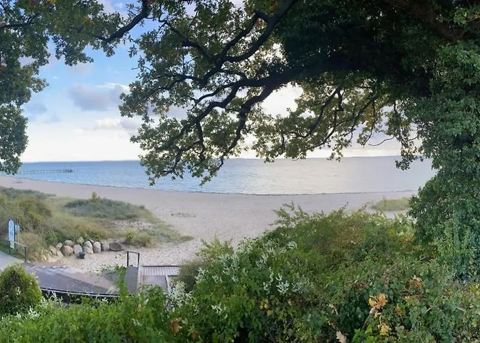 Eichenhain Seepferdchen * Pelzerhaken